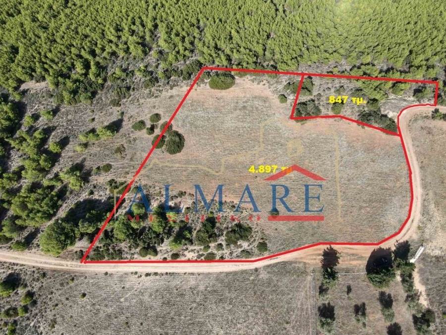 (For Sale) Land Plot || Korinthia/Loutraki-Perachora - 5.744 Sq.m, 50.000€ 
